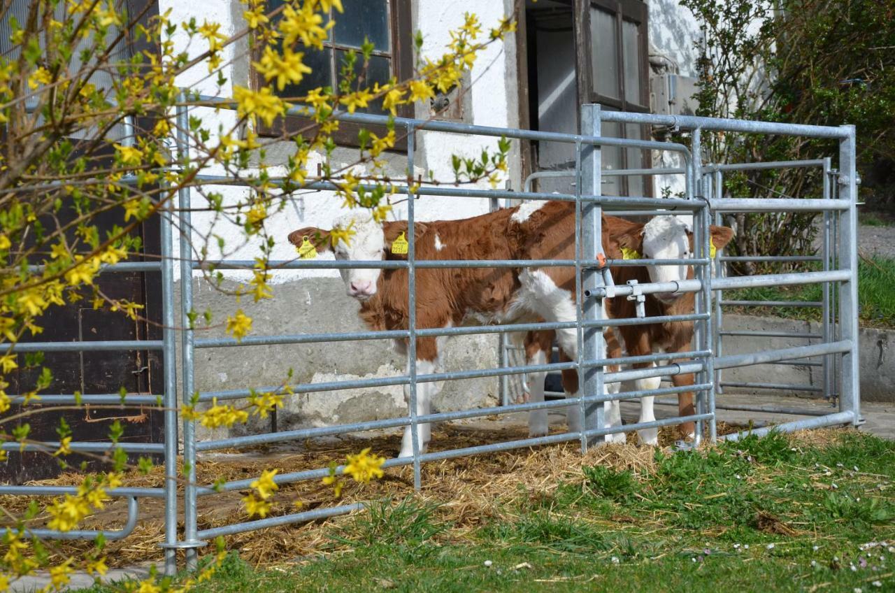 Ferienwohnung Vonwald Michelbach Eksteriør bilde
